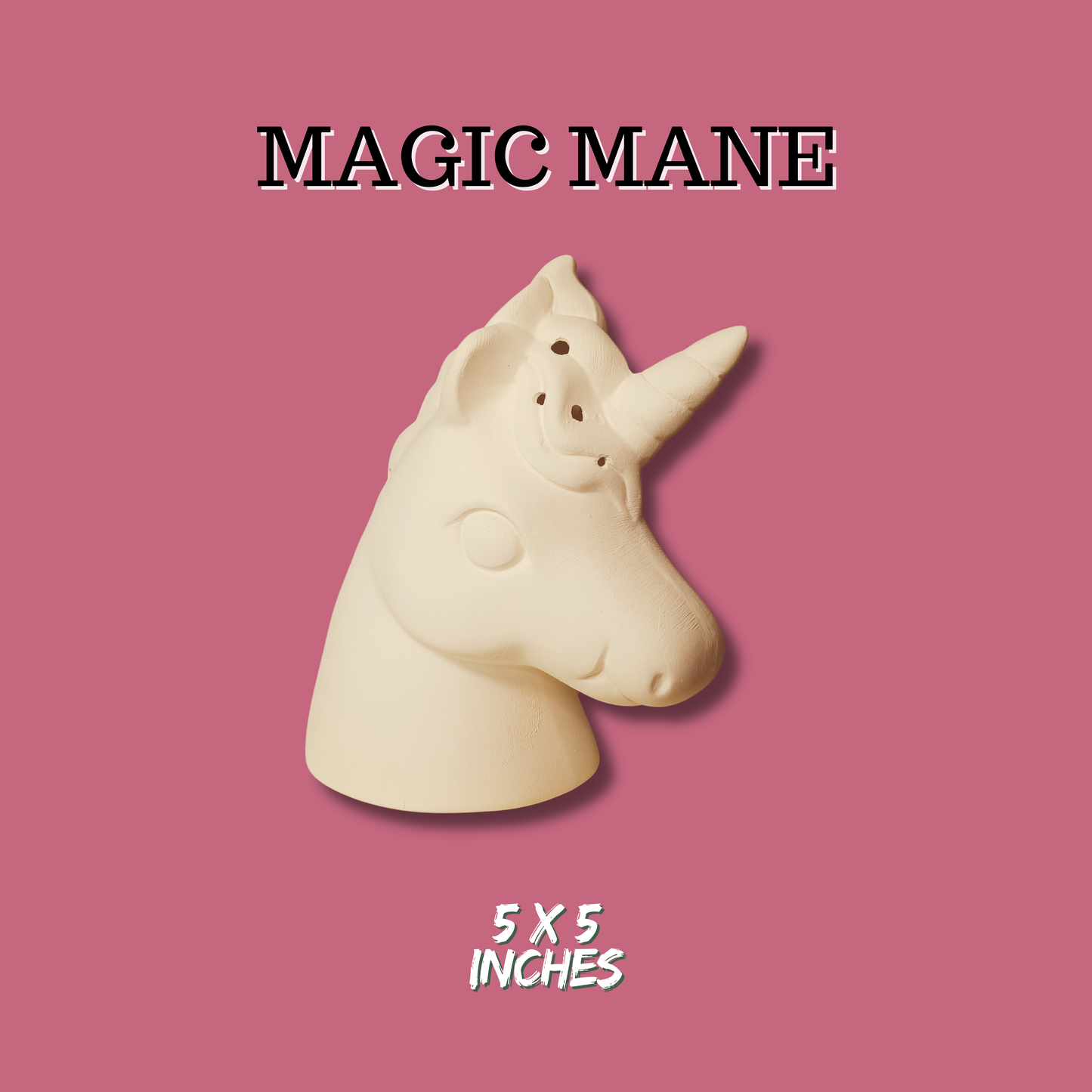 Paint Your Own Ceramics Kit | Magic Mane